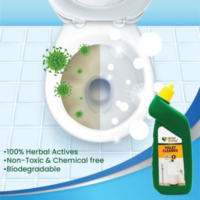 Herbal Toilet Disinfectant & Cleaner  500ml